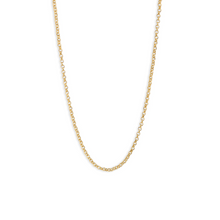 Load image into Gallery viewer, Rolo Chain Necklace
